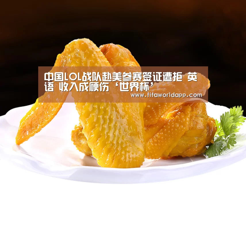中国LOL战队赴美参赛签证遭拒 英语 收入成硬伤‘世界杯’(图1) 实时比分