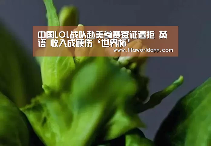 中国LOL战队赴美参赛签证遭拒 英语 收入成硬伤‘世界杯’(图2) 实时比分