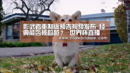 实时比分