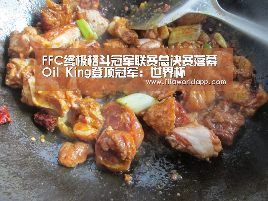 FFC终极格斗冠军联赛总决赛落幕 Oil King登顶冠军:世界杯(图1) 比赛集锦