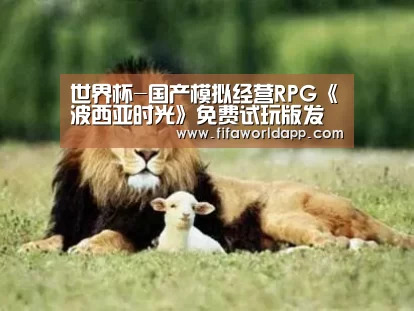 实时比分